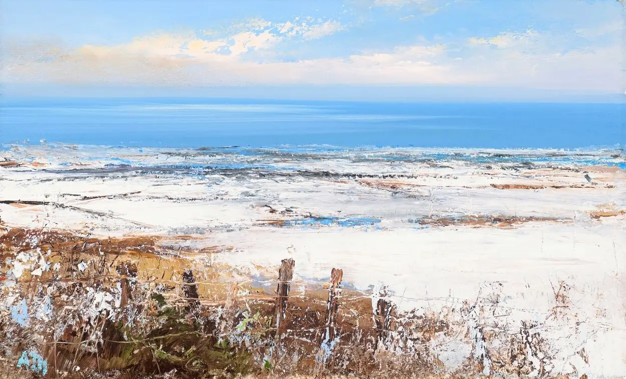 Amanda Hoskin -  fields of snow zennor, cornwall
